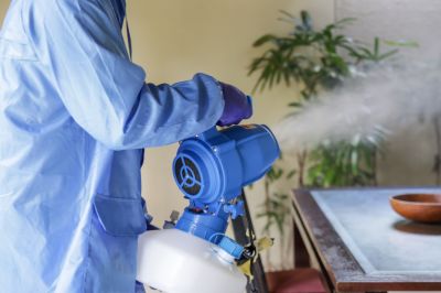 Commercial Fumigation in Winston Salem, NC