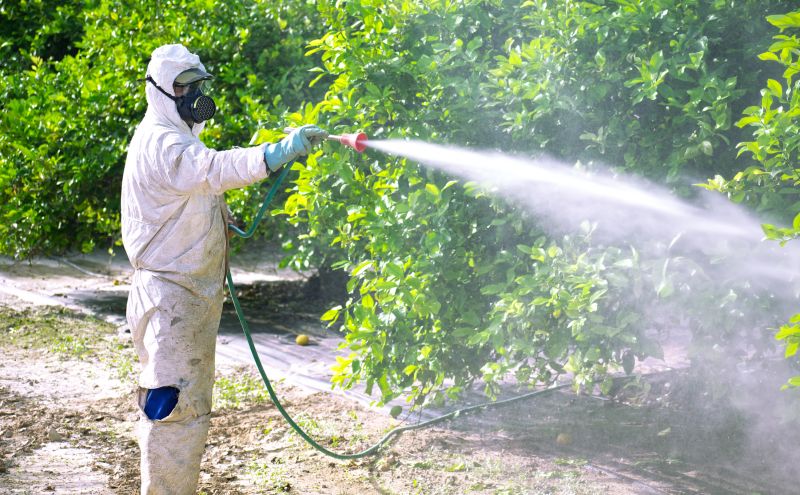 Commercial Fumigation in Coeur D Alene, ID