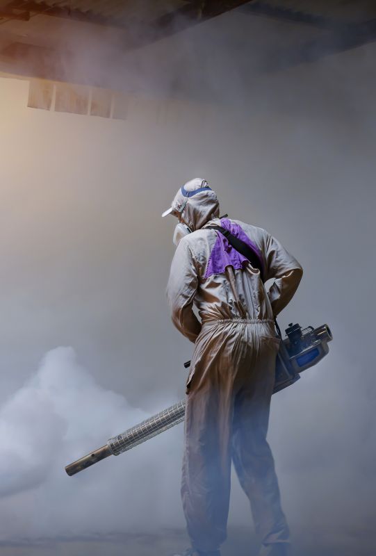 Roach Fumigation in Santa Fe, NM
