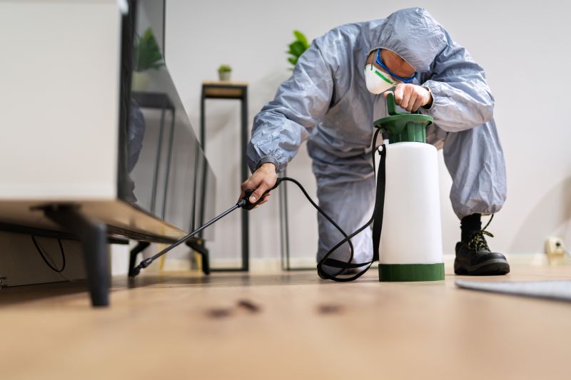 Commercial Fumigation in Tampa, FL