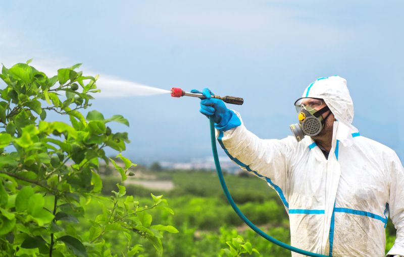 Commercial Fumigation in Tampa, FL