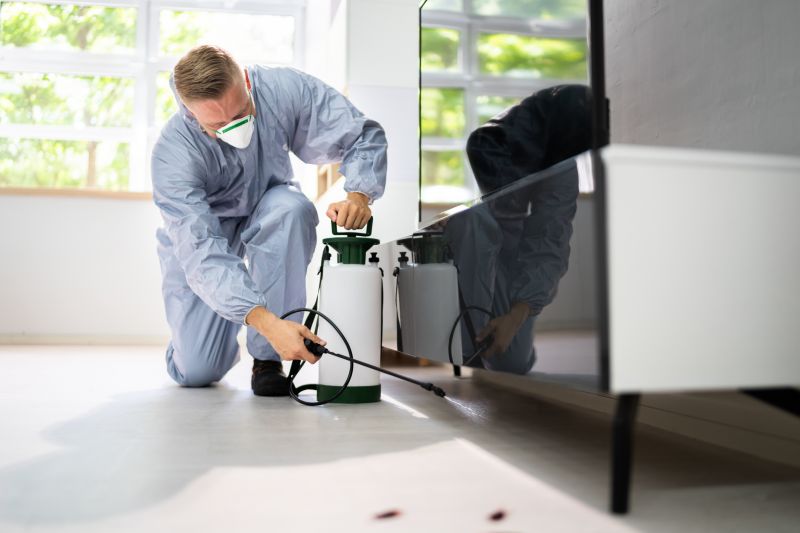Insect Extermination Service in Frisco, TX
