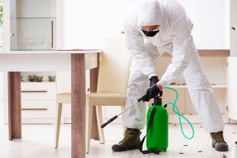Pest Extermination Service in Katy, TX