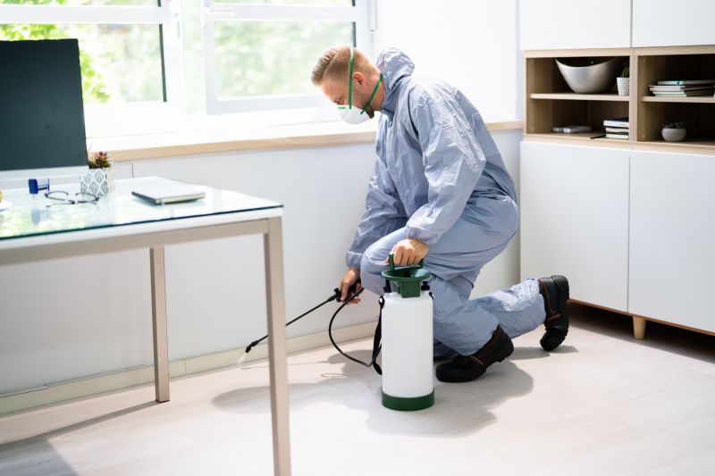 Pest Management Service in Katy, TX