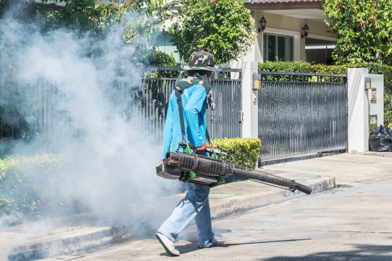 Roach Fumigation in Bellingham, WA