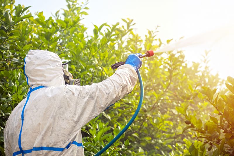 Spider Fumigation Service in Naperville, IL