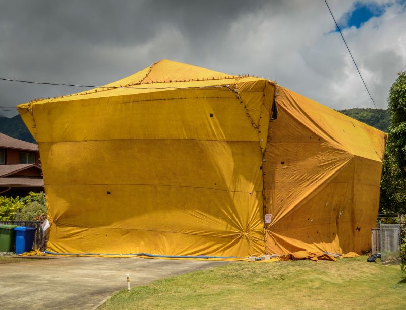 Termite Tenting in Tampa, FL