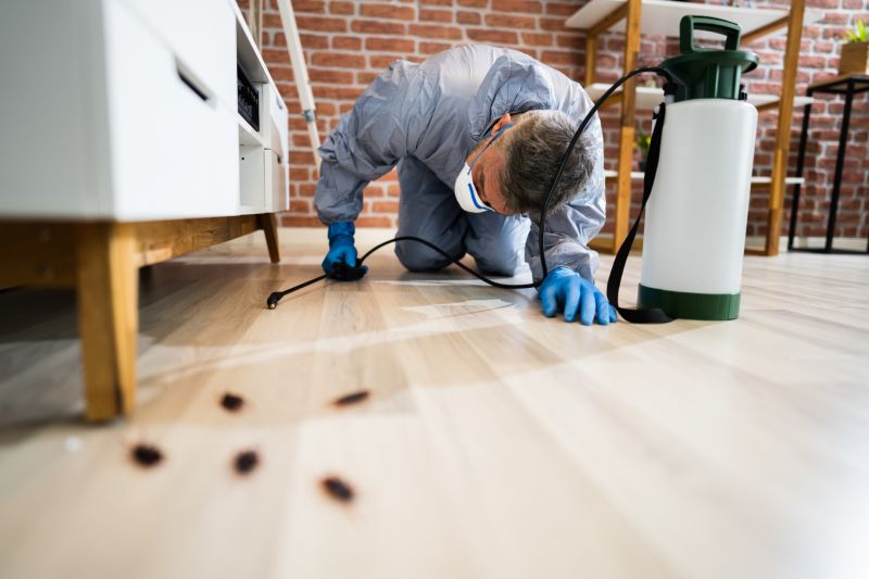Yard Insect Treatment in Frisco, TX